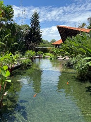 Water Place (D15), Condominium #595807331